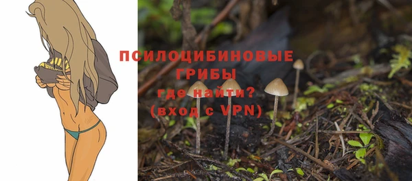 тгк Балахна