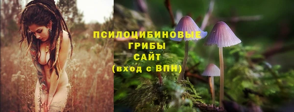 спиды Балабаново