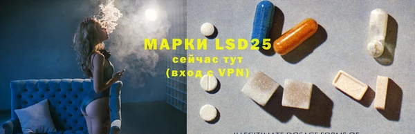 крисы Баксан