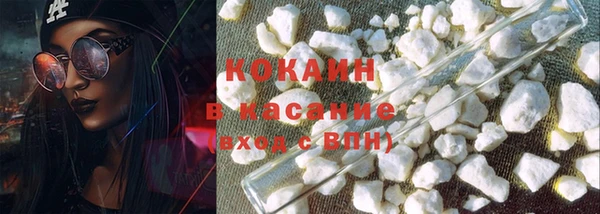 крисы Баксан